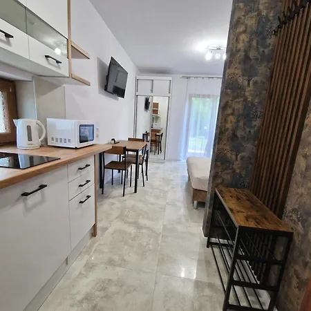 Apartament 10 Z Ogrodem Szklarska Poreba Exterior photo